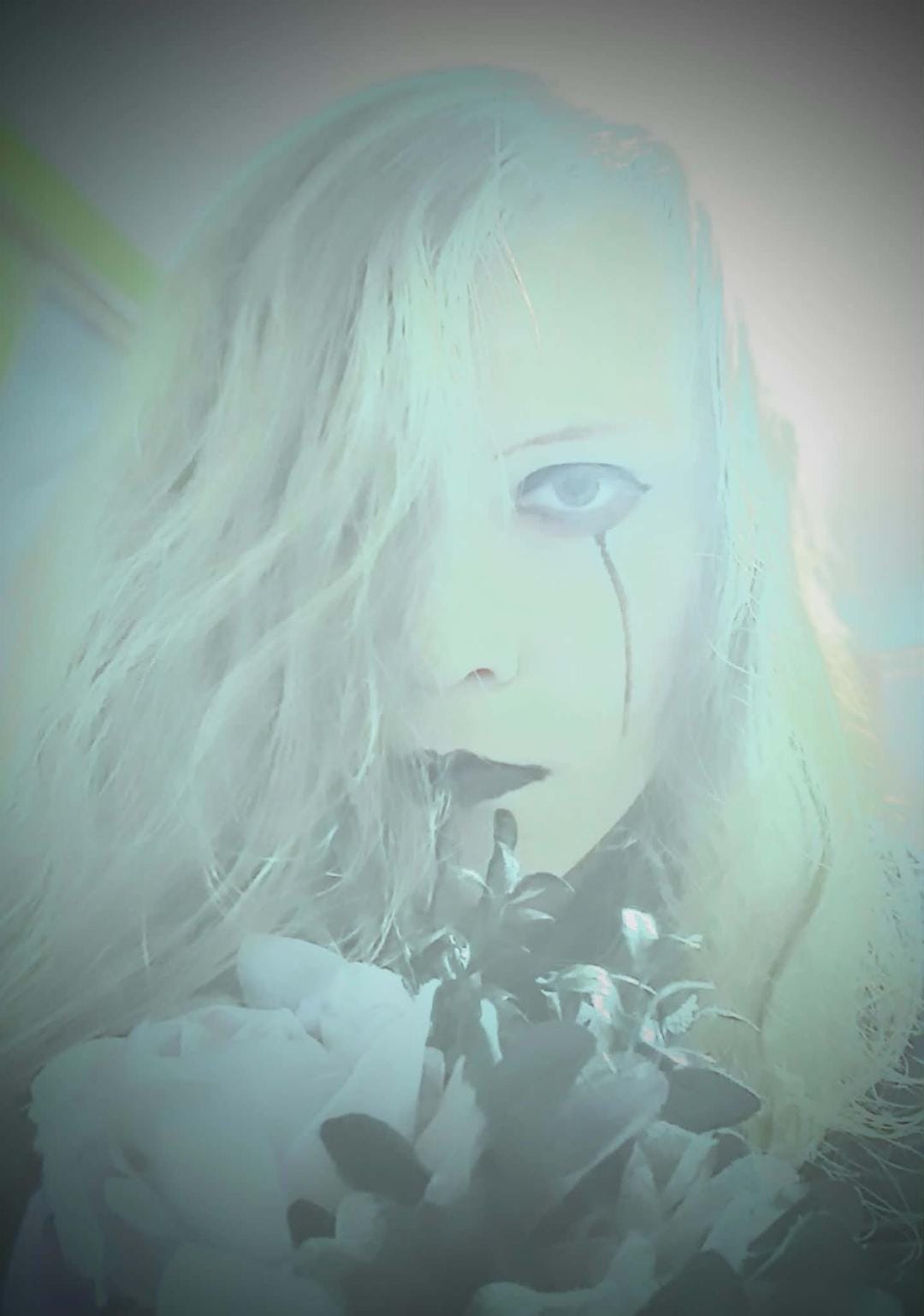 Tu†Dormiras